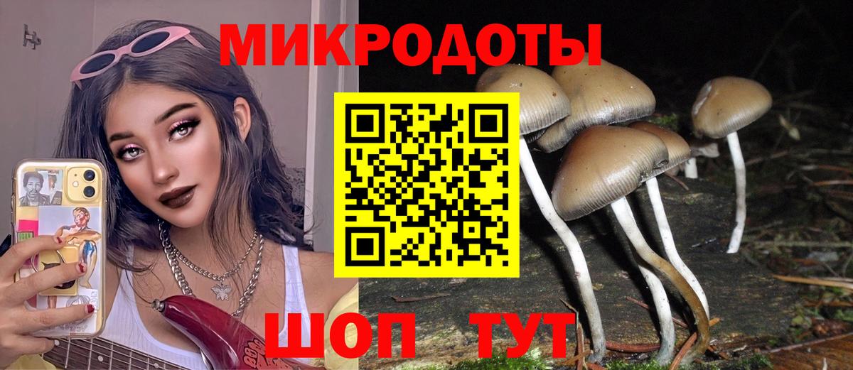 Галлюциногенные грибы прущие грибы Отрадное