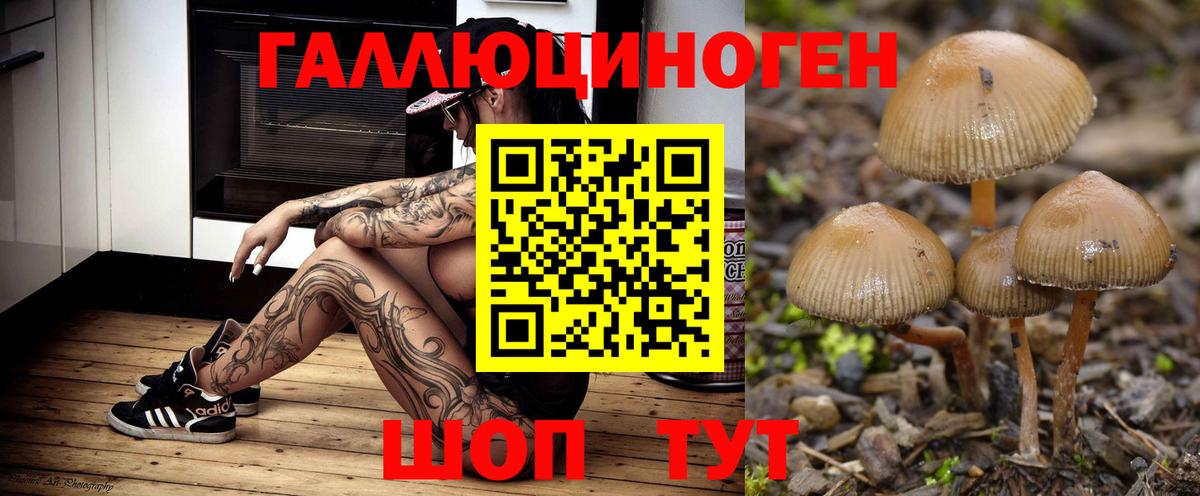 Псилоцибиновые грибы Cubensis  Вход с VPN  Псилоцибиновые грибы мухоморы  Отрадное 